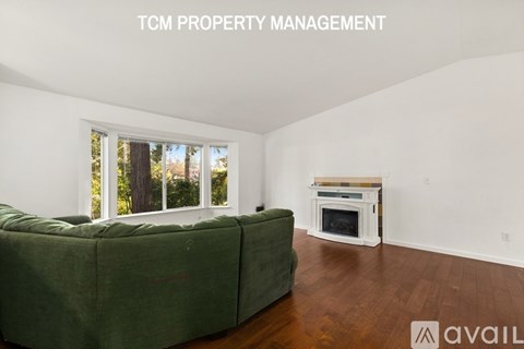 A living room with a green couch and a fireplace.
