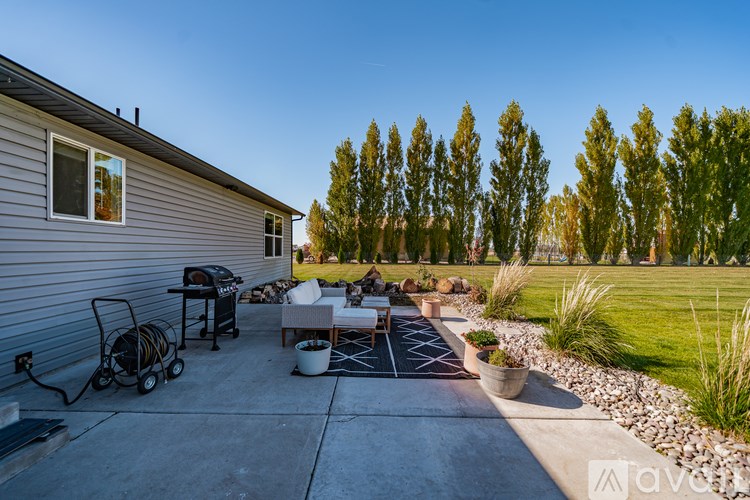 A backyard with a patio, a grill, and a few trees.