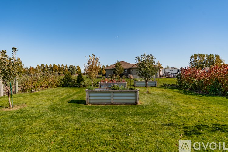A backyard with a shed and a tree with red leaves.