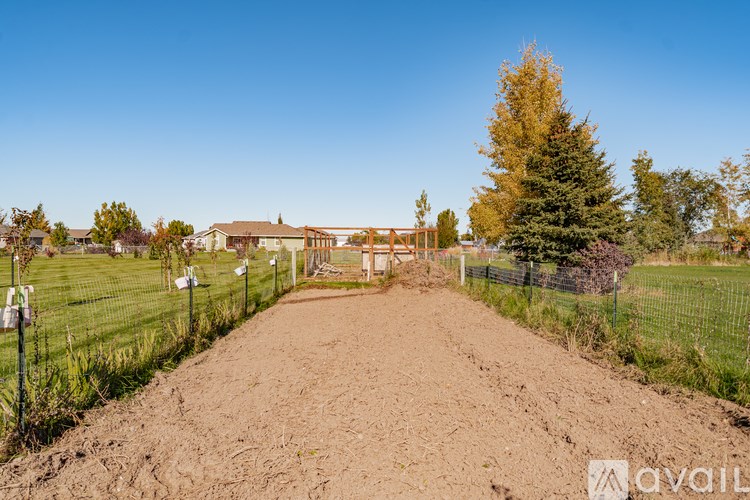 A dirt road leads to a house with a fence on either side.