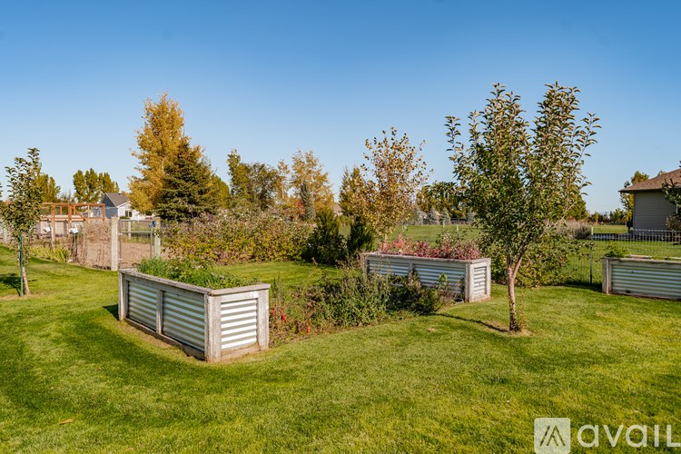 A garden with a shed and trees in the background.