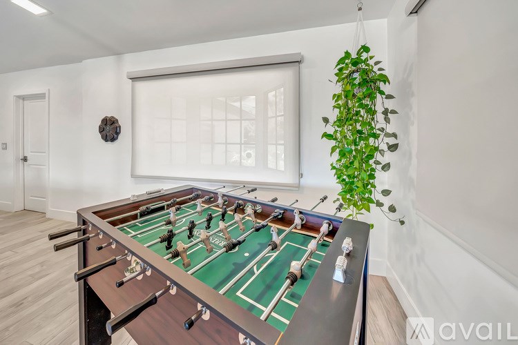 A foosball table is in the middle of a room with a hanging plant to the right.