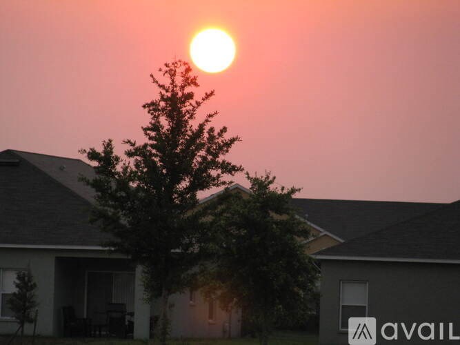 The sun is setting behind a tree in front of a house.