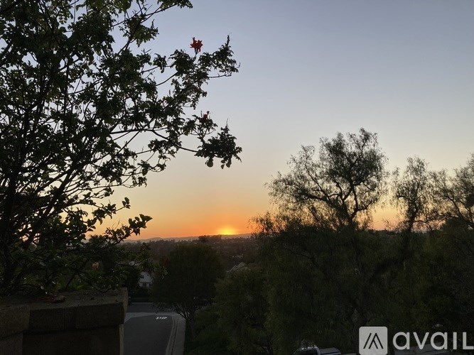 A sunset view from a balcony with trees in the foreground.