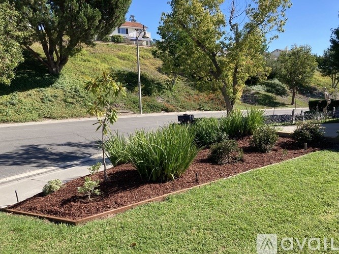 A garden with a variety of plants and a house in the background.