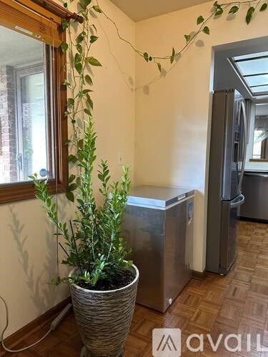 A kitchen with a plant in a wicker pot.