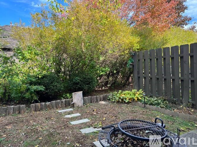 A backyard with a wooden fence and a tree with red leaves.