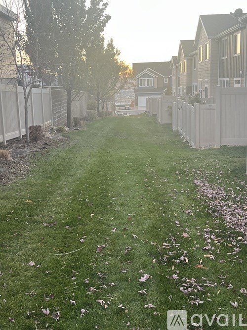 A grassy area with fallen petals and houses in the background.