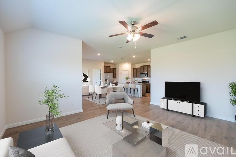 A living room with a television, chairs, and a plant.