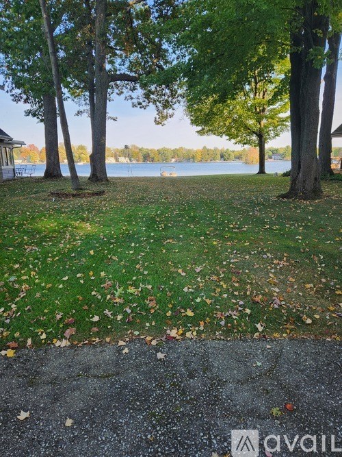 A grassy area with fallen leaves and a path leading to a body of water.