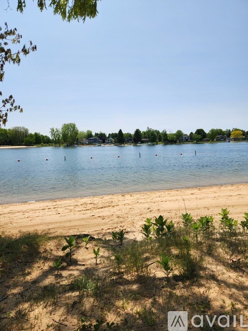A beach with clear blue water and a line of trees in the distance.
