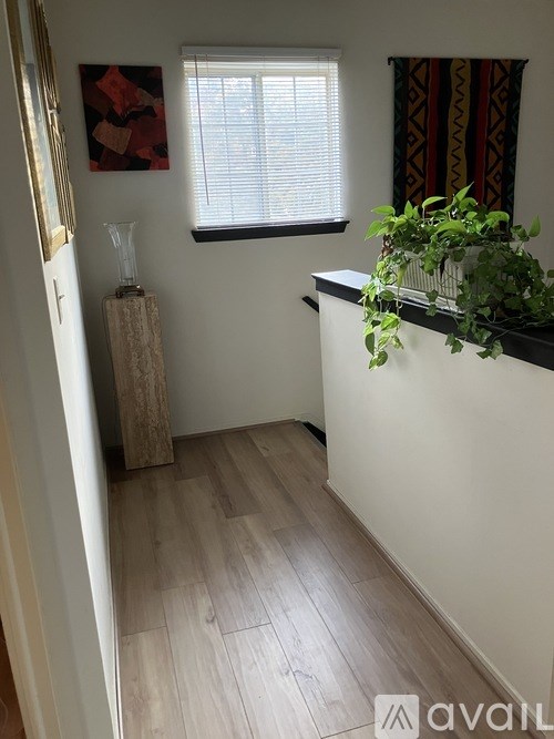A room with a wooden floor and a white wall with a window and a plant on the counter.