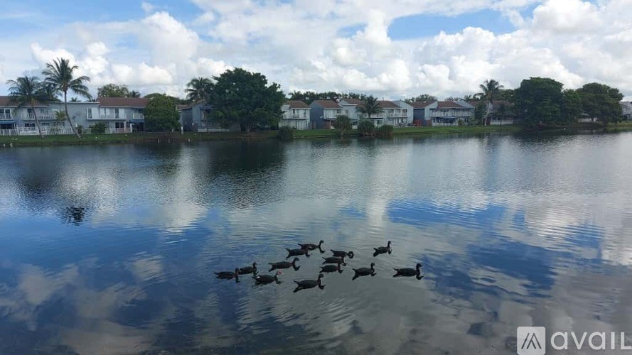 A group of ducks are swimming in a lake.