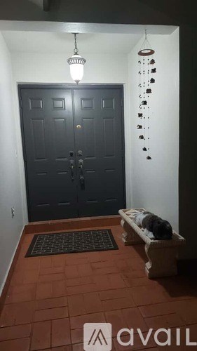 A cat is sitting on a bench under a hanging light fixture.