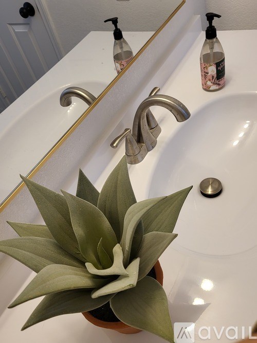 A plant sits on a sink in a bathroom.