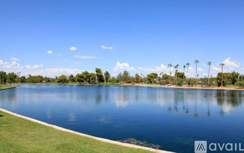 A large body of water surrounded by trees under a blue sky.