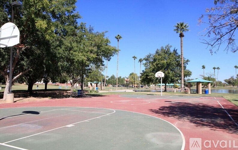 A basketball court is surrounded by trees and palm trees.