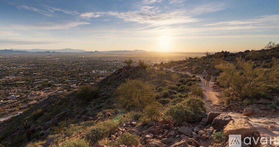 A sunset view of a hilly landscape with a trail leading through the vegetation.