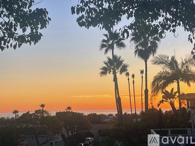 A sunset view with palm trees silhouetted against the sky.
