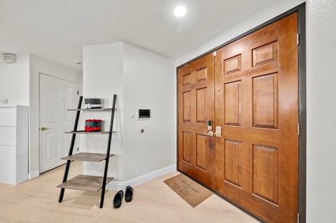 A wooden door is closed in a room with a ladder and a mat on the floor.
