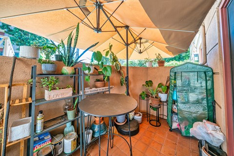 A patio with a table, chairs, and plants.