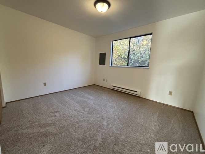 A room with a carpeted floor, a window with a view of trees, and a ceiling light fixture.