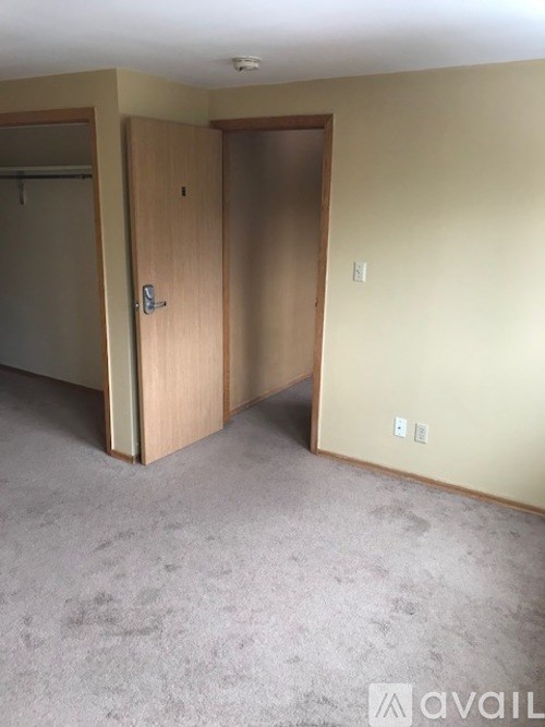 A room with a carpeted floor and two wooden doors.