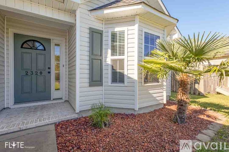 A house with a grey front door and a palm tree in front.