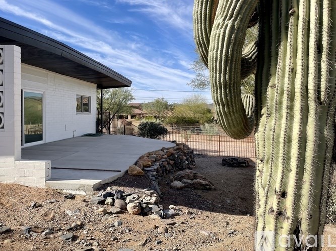A cactus is in the foreground of a house with a white exterior.