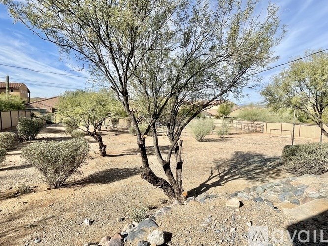 A leafless tree stands in a rocky landscape.