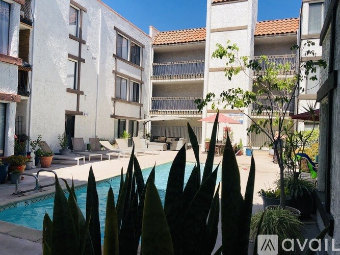A pool surrounded by buildings and plants.
