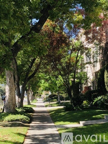A tree-lined walkway in a park.