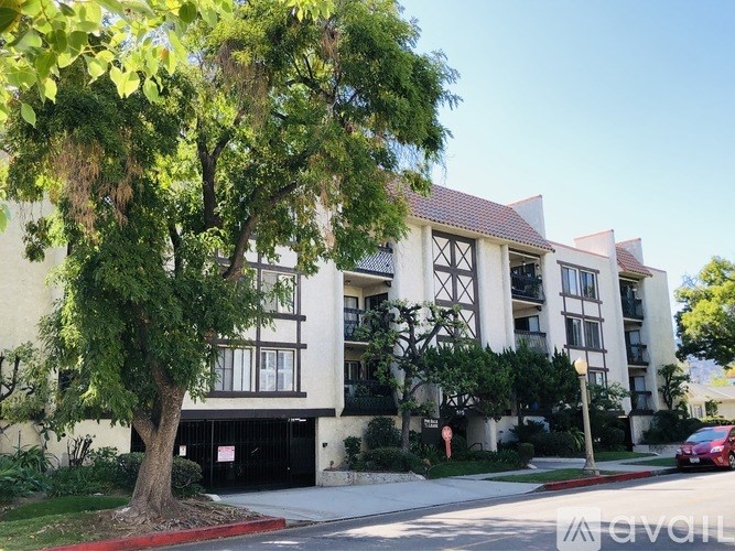 A tree in front of a building with a red car parked on the street.