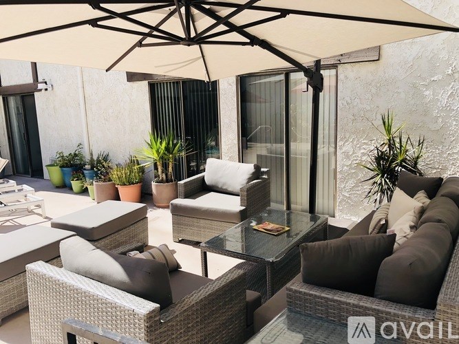 A patio with a table, chairs, and a plant.
