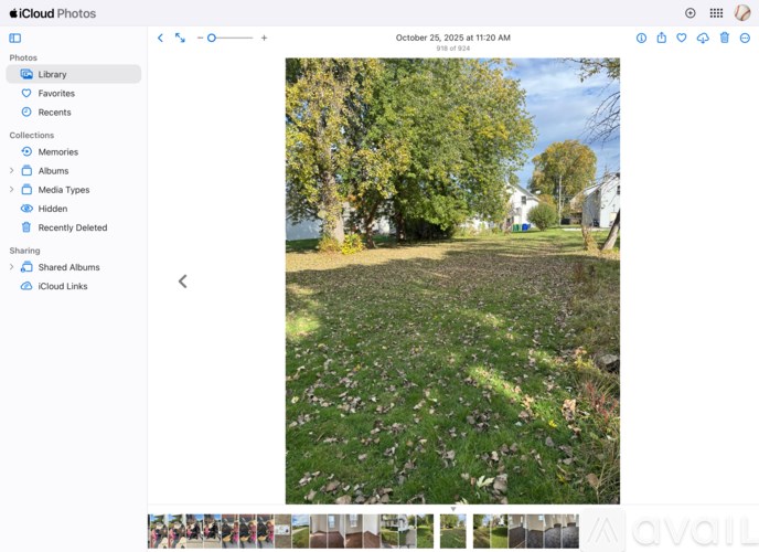 A field of flowers with trees in the background.