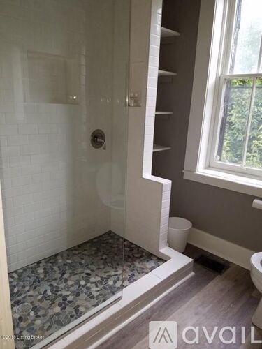 A bathroom with a walk-in shower and a toilet.