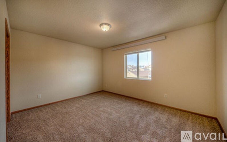 A room with a carpeted floor and a window.