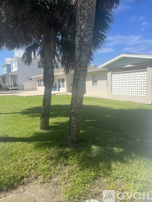 A house with a white fence and a palm tree in front.