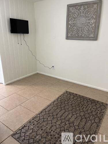 A room with a television, a rug and a picture on the wall.