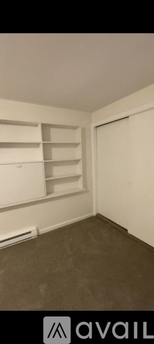 A room with white shelves and a carpeted floor.