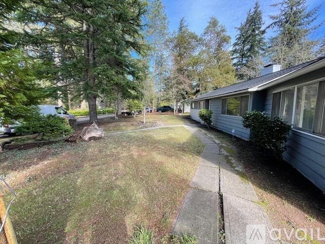 A backyard with a concrete pathway leading to a house.
