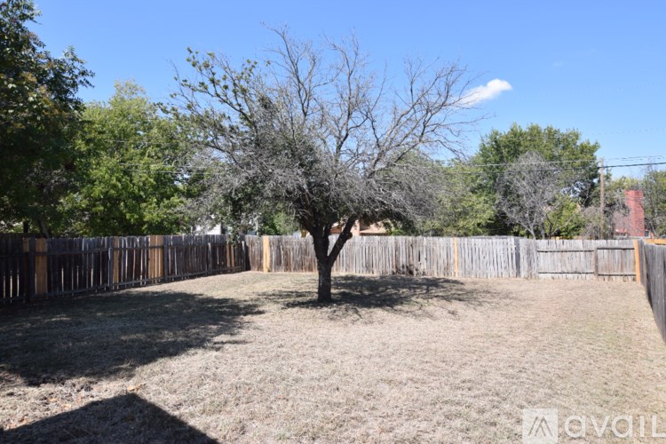 A tree in a backyard surrounded by a fence.