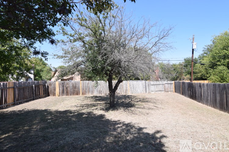 A tree in a yard with a wooden fence.