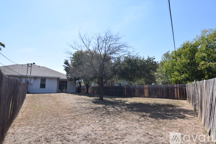 A backyard with a fence and a tree.