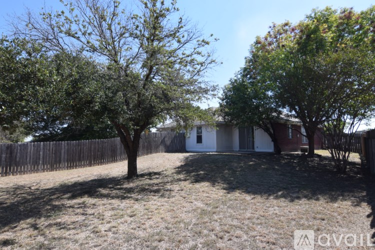 A backyard with a tree and a house in the background.