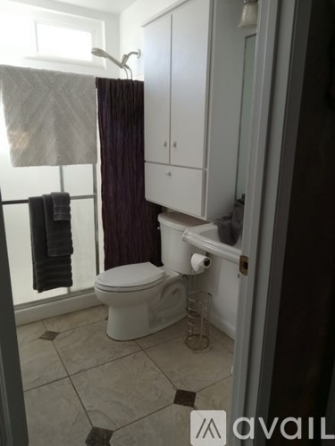A white toilet in a bathroom with a purple curtain.