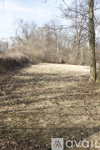 A field with a tree and no leaves.