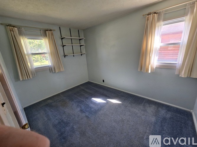 A room with a carpeted floor and two windows with curtains.