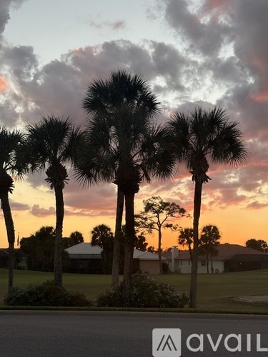 A sunset view with palm trees and a house in the background.