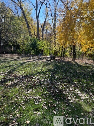 A grassy area with trees and fallen leaves.